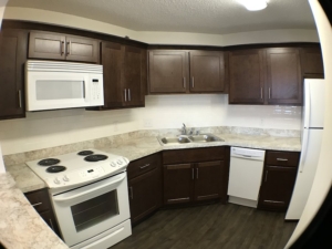 Dogwood | Kitchen fish eye