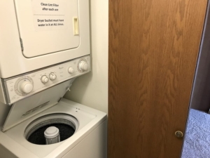 Dogwood | Laundry