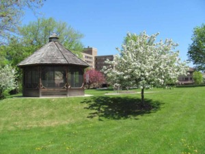 Lush Gardens & Grounds
